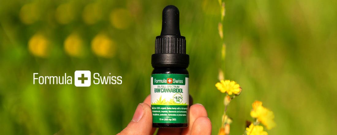 CBD RAW oils and CBDA: chemistry and early research