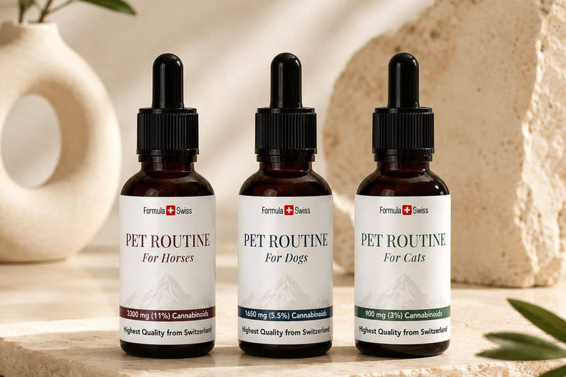 Λάδια CBD Pet Routine της Formula Swiss για άλογα, σκύλους και γάτες σε πέτρινη επιφάνεια