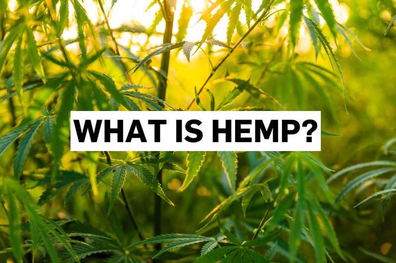 Τι είναι η βιομηχανική κάνναβη (hemp);